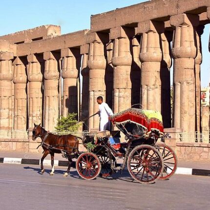 Luxor Horse Carriage Ride Tours
