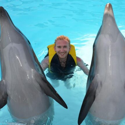 Dolphin Show in Hurghada