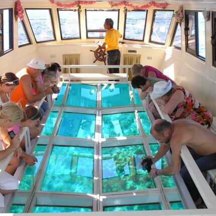 Glass Boat Trips from Sharm el Sheikh