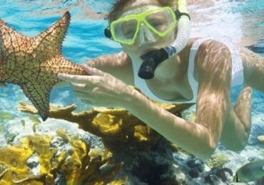 The Best snorkeling Places In Egypt