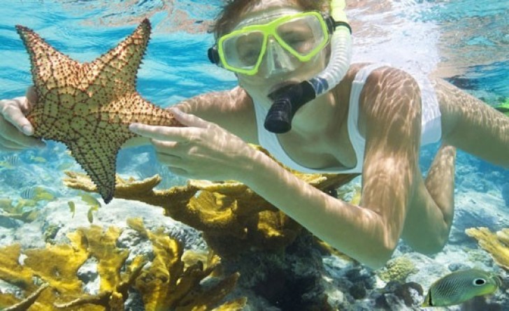 The Best snorkeling Places In Egypt