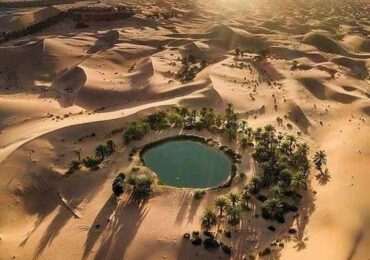 Here are 10 unforgettable activities that will leave a lasting impression on your visit to Siwa Oasis: