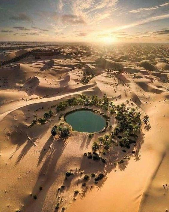 Here are 10 unforgettable activities that will leave a lasting impression on your visit to Siwa Oasis: