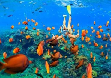 From Coral Reefs to Crystal Waters: A Journey through the Red Sea