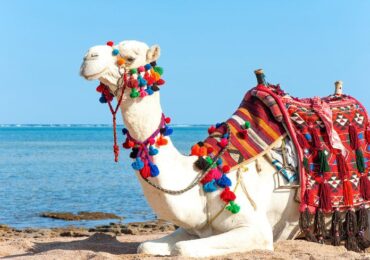 Summer in Egypt: The Ultimate Guide for Travelers 2025/2026