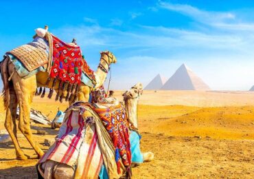 Life-Changing Well-Planned Vacation with Egypt Day Tours