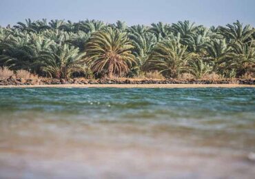 Exploring Egypt's Eco-Tourism: Nature Retreats and Adventure Awaits