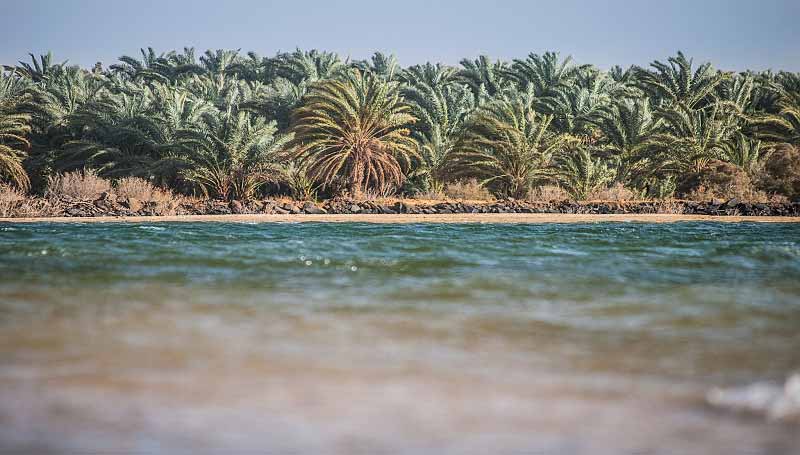Exploring Egypt's Eco-Tourism: Nature Retreats and Adventure Awaits